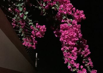 شاليه بمسبح خارجي ومسطح اخضر