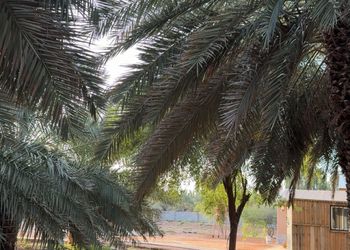 مزرعة بمجلس وجلسة خارجية 