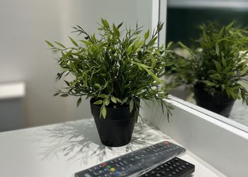 استديو بجلسة خارجية وسرير ماستر