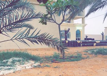استراحة بخيمة و  مجالس