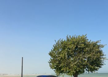 استديو هادئ بسرير ماستر 