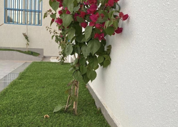  استراحة بمسطح اخضر وجلسة 