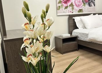 شقة بصالة وغرفتين نوم دخول ذاتي