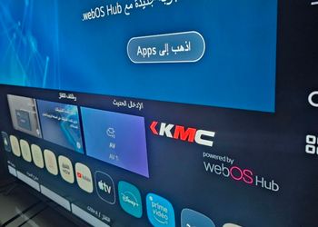 شقة بغرفة نوم وصالة