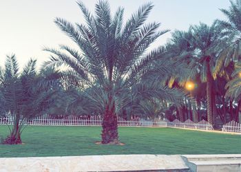 مزرعة بفيلا تراثية مودرن و إسطبل