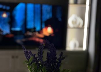 استديو هادئ بسرير ماستر 