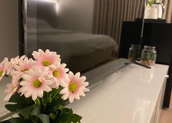 استديو باثاث مريح وبسيط 