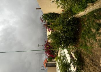 جناح ضيافة مكون من 3 غرف نوم وصالة
