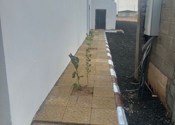 استديو بسريرين فردية