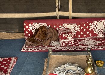 مخيم ببيت شعر وجلسة خارجية 