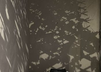 استديو بدخول ذاتي وجاكوزي