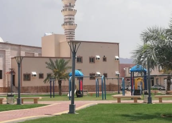 شقة بغرفتين نوم وصالة