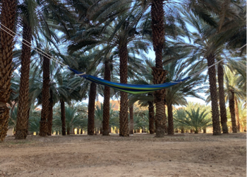 مزرعة محاطة بالجبال