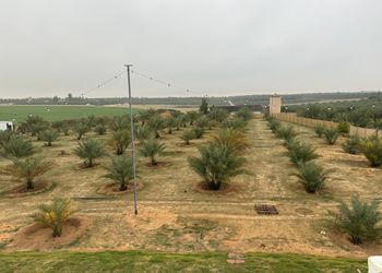 مزرعة بجلسة خارجية وأجواء ممتعة