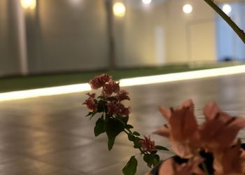 استراحة بمجلس انيق ومسطح اخضر