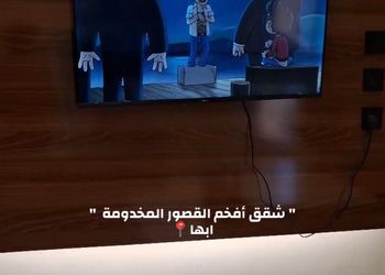 شقة بصاله وغرفه نوم 