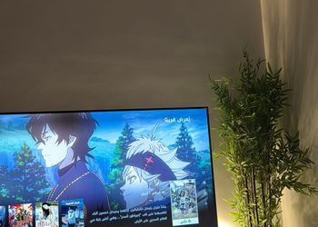 استديو هادئ بسرير ماستر