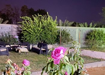 استراحة بمسطح اخضر وجلسة خارجية