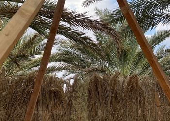 كوخ بسرير ماستر وجلسة خارجية