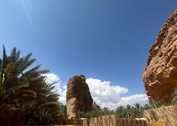 كوخ بسرير كبير علوي وسريرين فردي