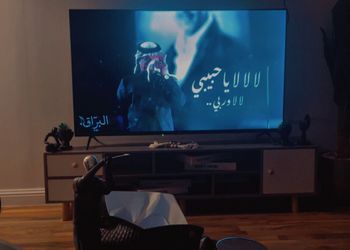 شقة بغرفة نوم وصالة 