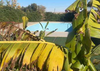 مزرعة بمجالس واسعة وأجواء ممتعة
