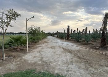 مزرعة بمسطحات خضراء وجلسة خارجية