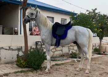 استراحة بجلسة خارجية واجواء ممتعة