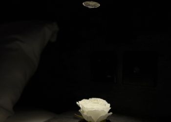 استديو بسرير ماستر وجلسة جانبية
