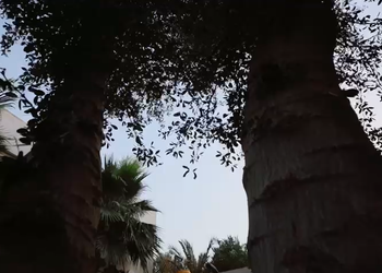 شاليه بمسبح وألعاب مائية