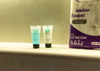 شقة بغرفة نوم وصالة 