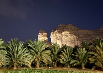 مزرعة بإطلالة على الجبل