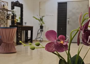 استراحة بمسطح اخضر