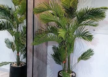 شاليه فاخر بمسبح و ٣ غرف نوم