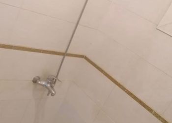 استديو بدخول ذاتي 