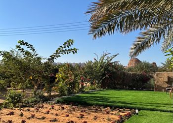استراحة بخيمه وجلسة خارجية