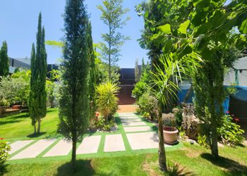 شاليه بمسطح اخضر