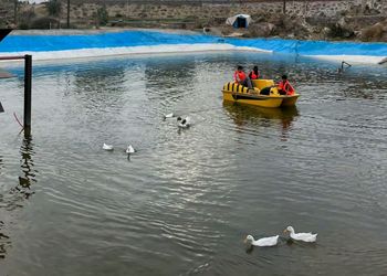 منتجع فندقي بمسبح خارجي وأجواء ممتعة 