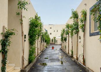 استديو مع حوش خاص بأثاث حديث