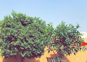 شاليه بألعاب أطفال مائية و مسبح