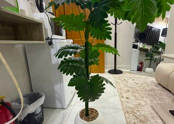 استديو بسرير ماستر وجلسة جانبية 