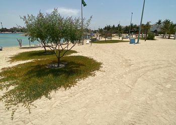 شاليه بصالة مطلة على البحر 