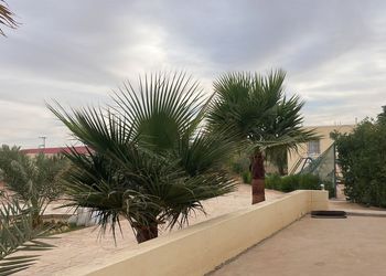 استراحة بالعاب ومسطحات خضراء 