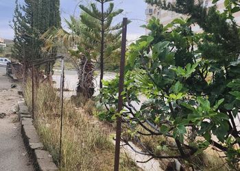 شقة بغرفة معيشة وغرفتين نوم 