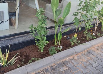 استديو مميز بدخول ذاتي