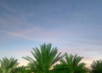 استراحة بمجلس واسع وفناء خارجي