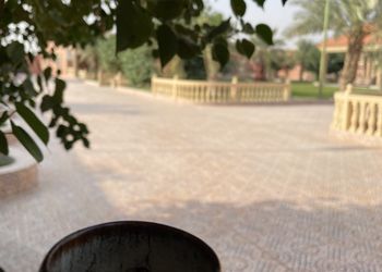 مزرعة بألعاب أطفال ومسطح اخضر