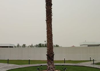 شاليه بمسطح اخضر ومجالس 