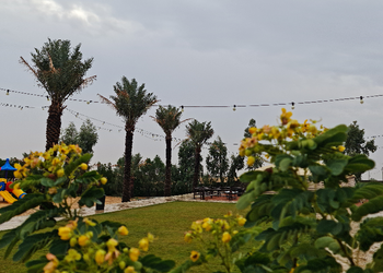 مزرعة بمسطح اخضر وجلسة خارجية 