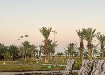 استراحة بمسطح اخضر وجلسة خارجية